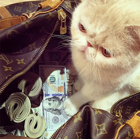CashCats1