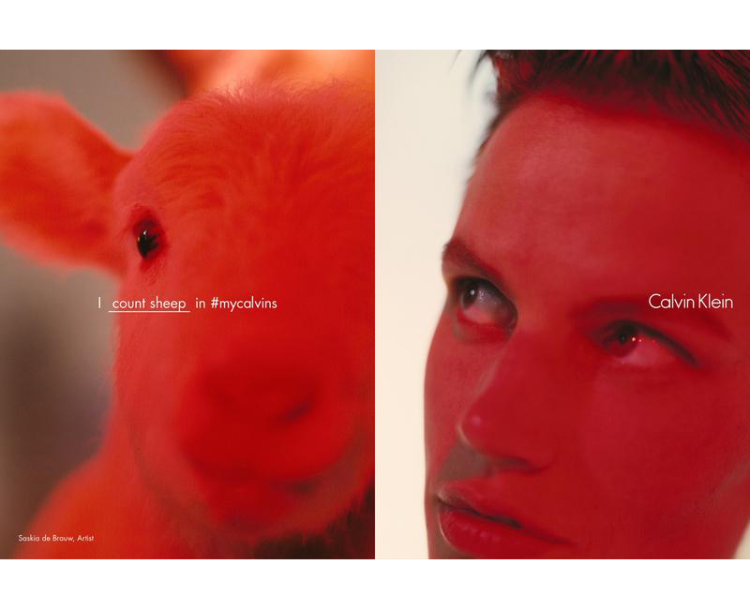 calvin-klein-spring-2016-campaign-harley-weir-6